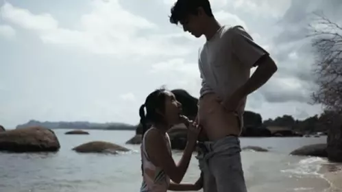 华裔美女博主与男友的性爱日记 - 我在海滩上用她的乳头