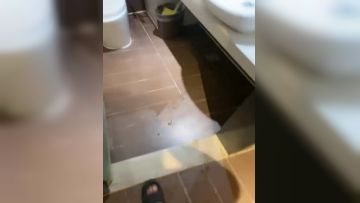 风骚小少妇啥活都会，跟小哥酒店啪啪，口交大鸡巴舔蛋蛋让大哥舔逼，无套抽插各种蹂躏，激情上位爆草大哥第03集